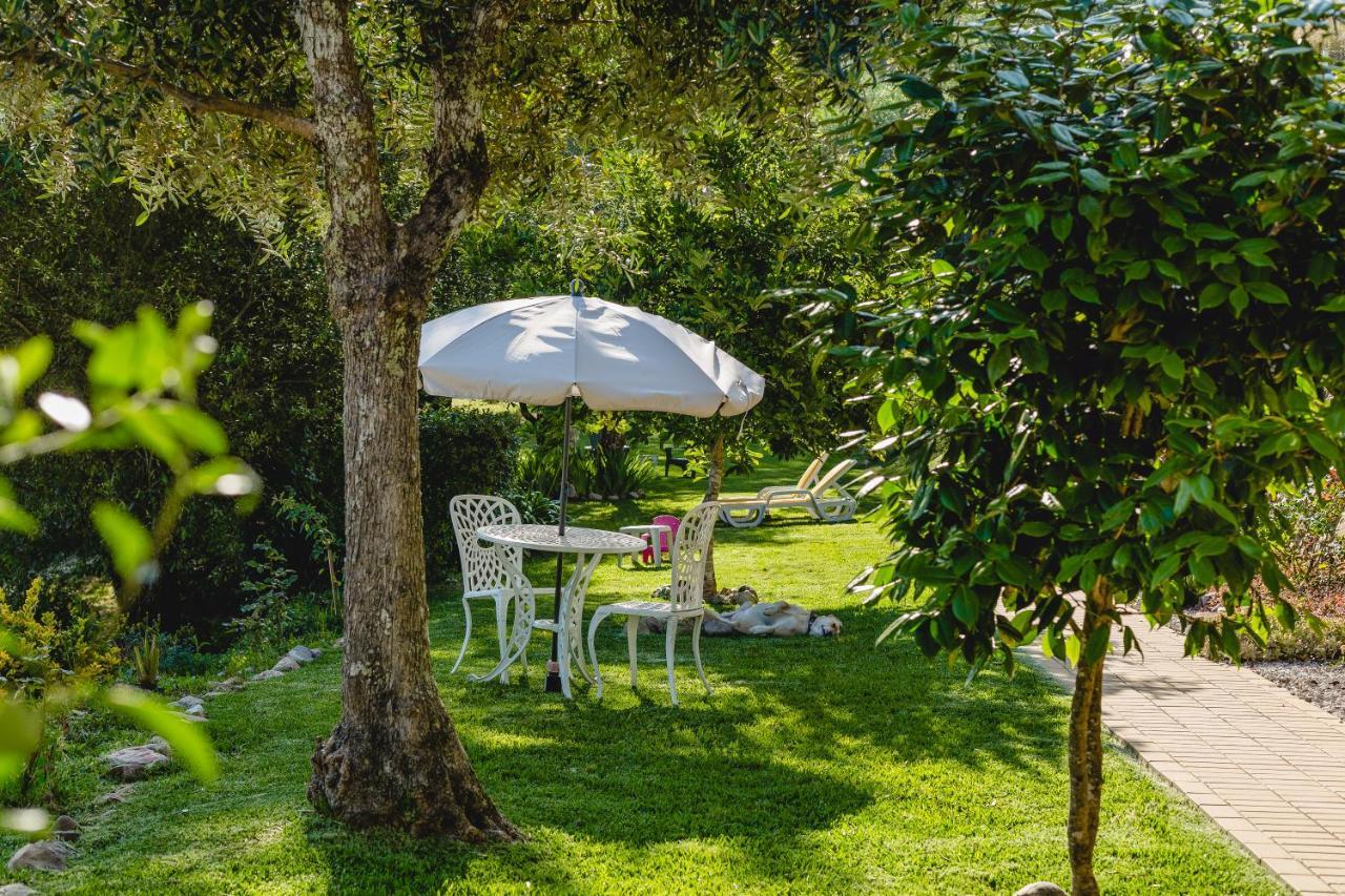 Magnolias Cottage Lousa  Exterior photo